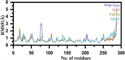 Mutational Landscape of Pirin and Elucidation of the Impact of Most Detrimental Missense Variants That Accelerate the Breast Cancer Pathways: A Computational Modelling Study